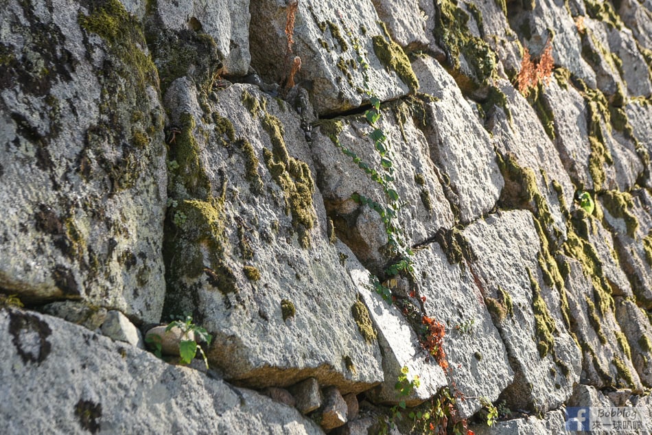 okayama-castle-6