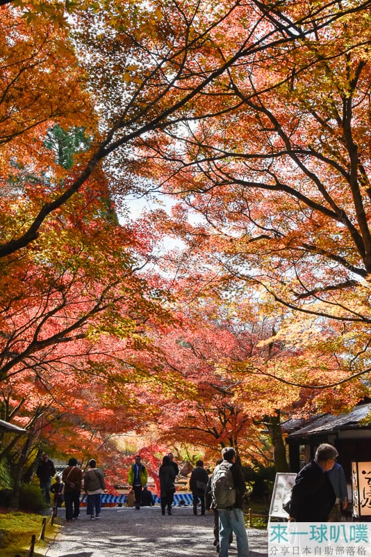 京都大原美食|蕎麥處 芹生茶屋、各種蕎麥麵、甜點茶屋