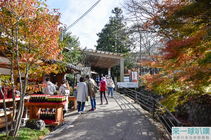 京都大原美食|蕎麥處 芹生茶屋、各種蕎麥麵、甜點茶屋