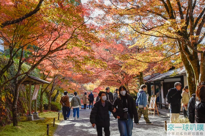 京都大原美食|蕎麥處 芹生茶屋、各種蕎麥麵、甜點茶屋