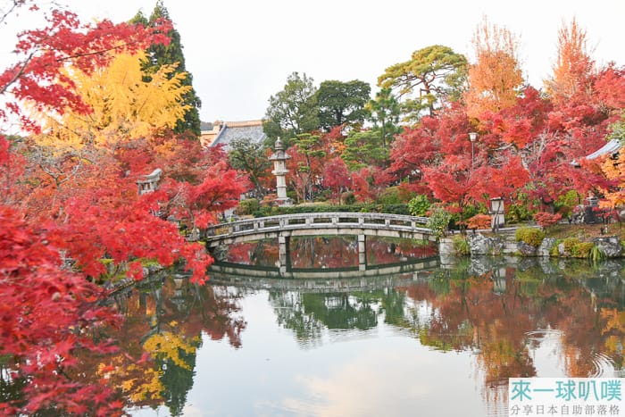 京都賞楓景點推薦|永觀堂絕美楓葉、哲學之道、熊野若王子神社