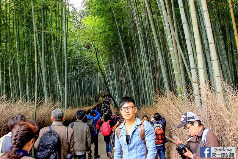 Arashiyama-Bamboo-Forest_-5