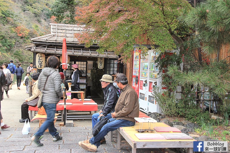 Arashiyama-park-12
