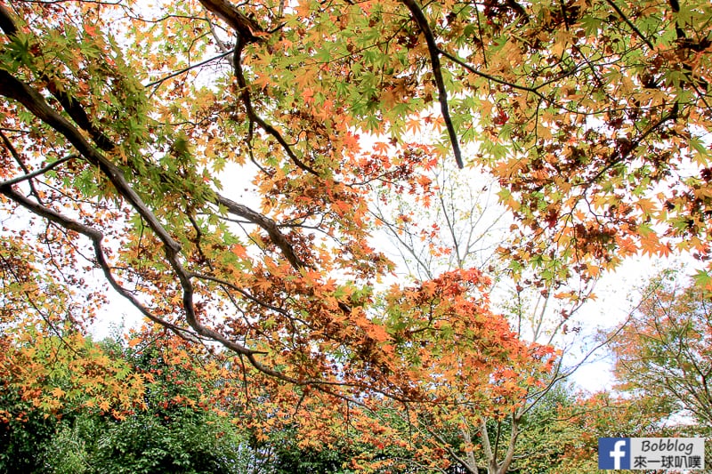 Arashiyama-park-14