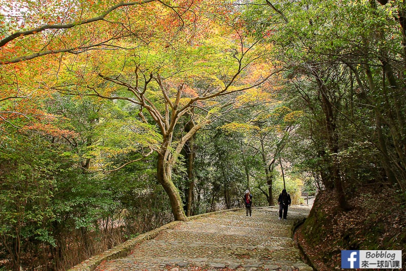 Arashiyama-park-22