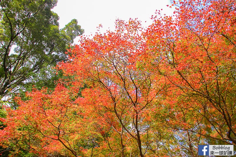 Arashiyama-park-23