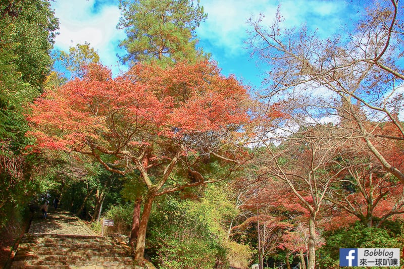 Arashiyama-park-24
