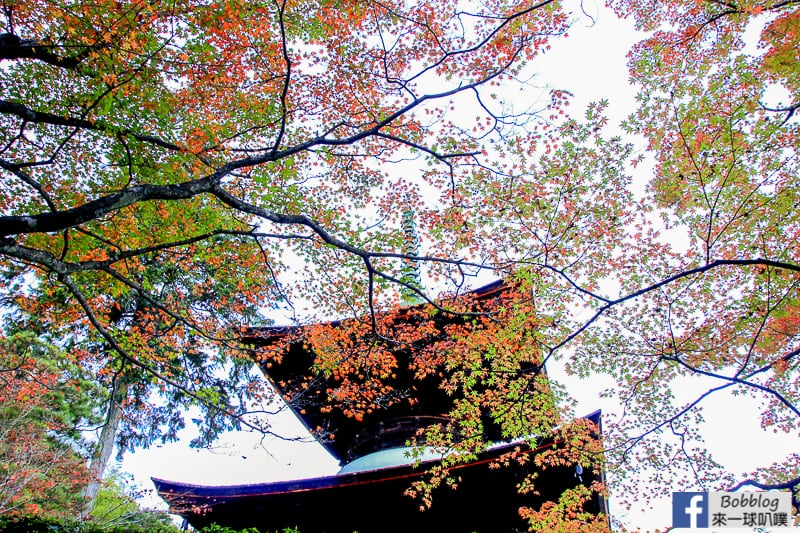 Jojakko-ji-Temple-25