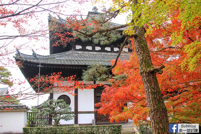 Tofukuji-Temple-36