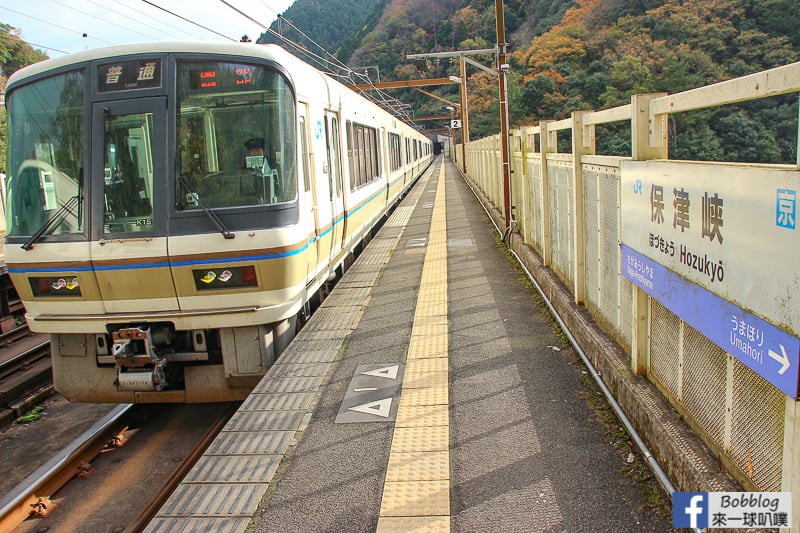 Hozukyo-station-maple-5
