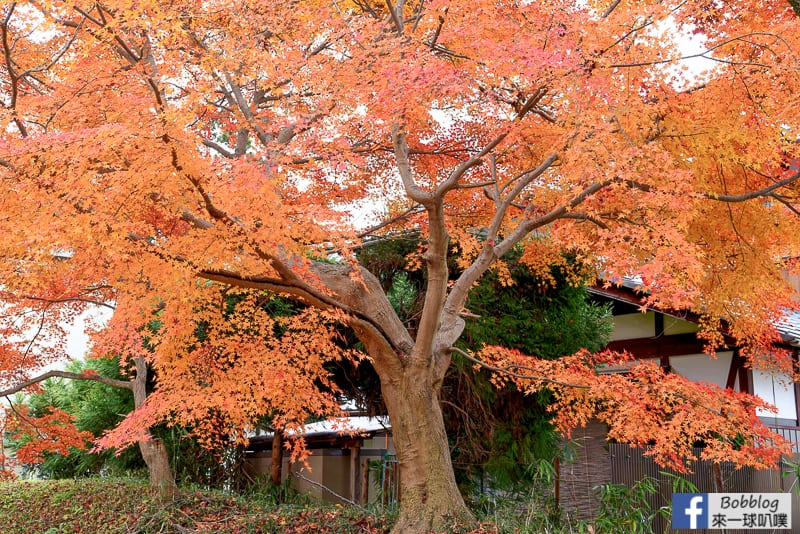 lusen-shrine-18