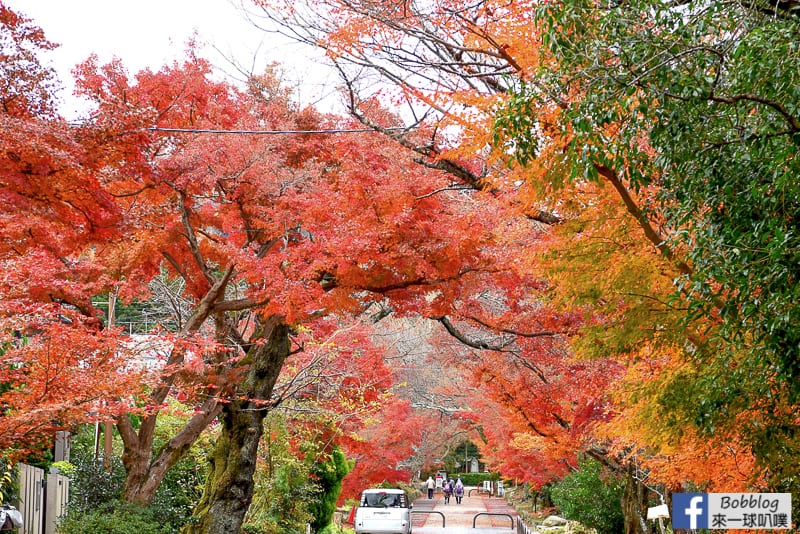 lusen-shrine-21