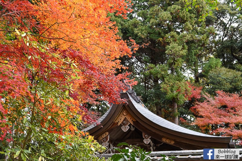 lusen-shrine-7