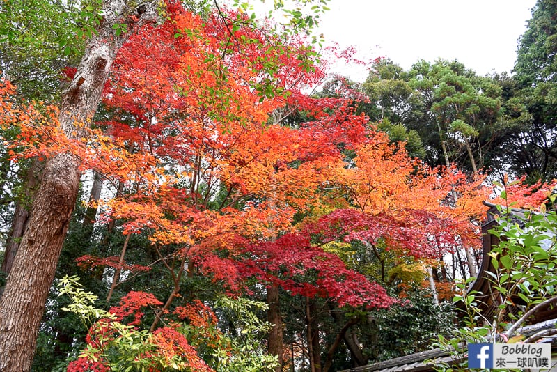 lusen-shrine-8