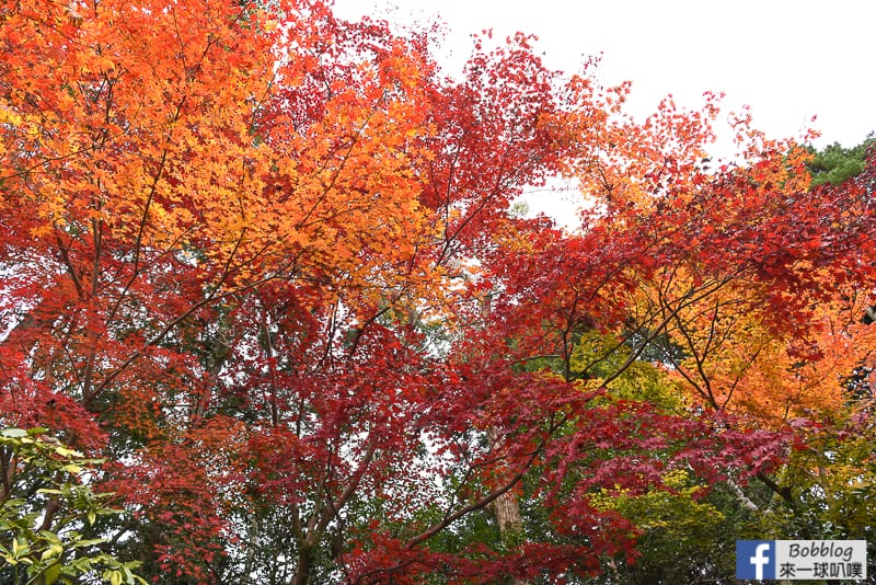 lusen-shrine-9