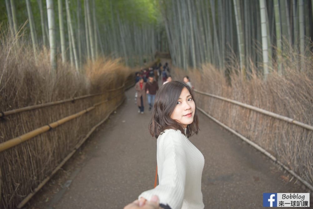 kyoto-arashiyama-bamboo-grove-11