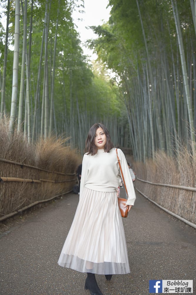 kyoto-arashiyama-bamboo-grove-12