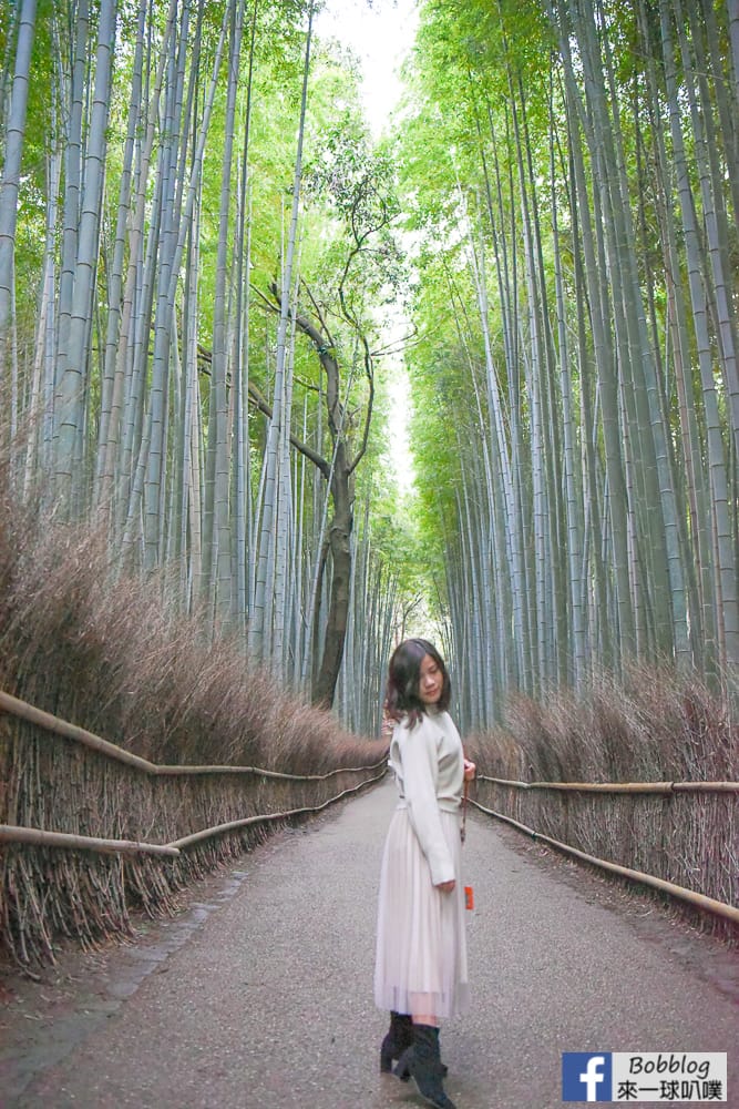 kyoto-arashiyama-bamboo-grove-26