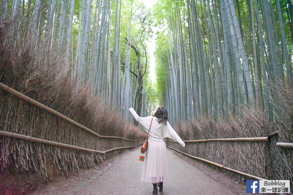 kyoto-arashiyama-bamboo-grove-30