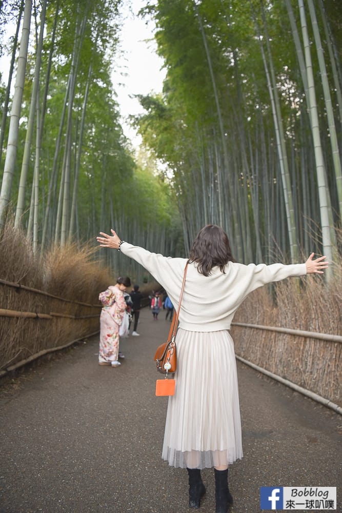 kyoto-arashiyama-bamboo-grove-8