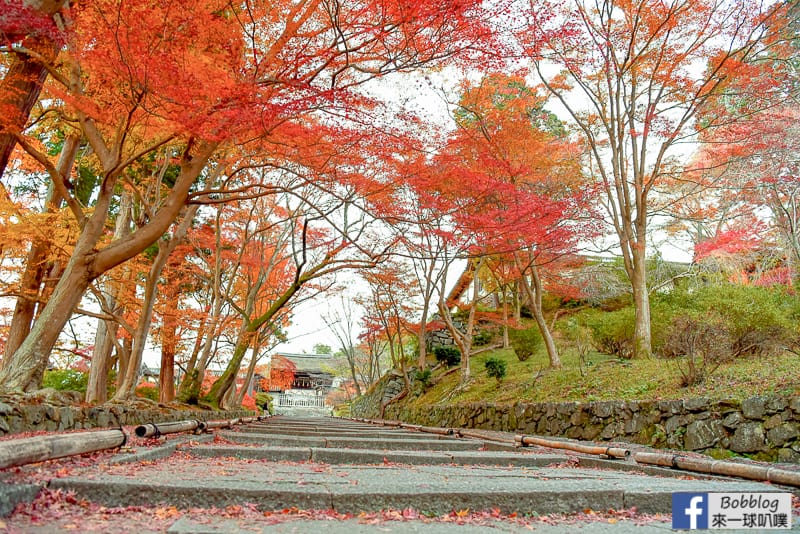 京都毘沙門堂楓葉地毯、山科疏水道賞楓、交通方式