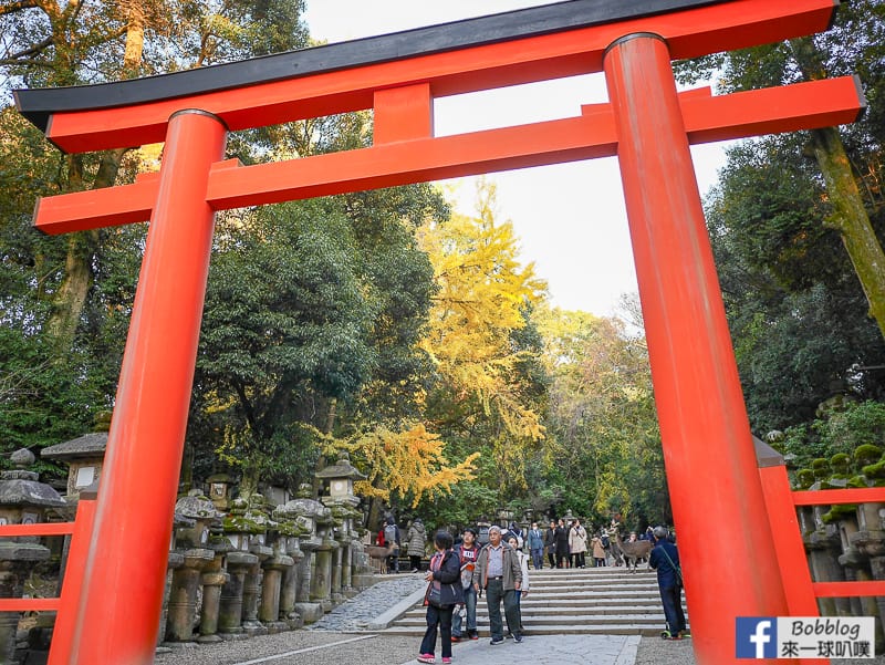 Kasuga-Taisha-Shrine-11