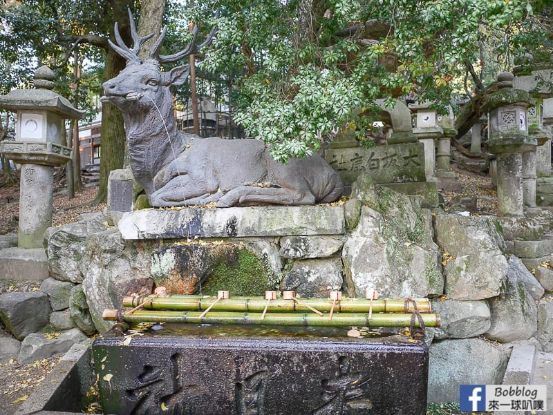 Kasuga-Taisha-Shrine-13