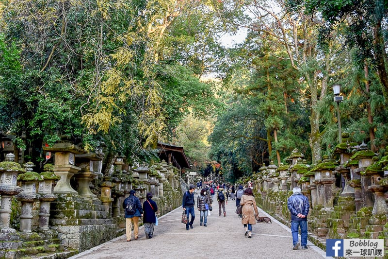 Kasuga-Taisha-Shrine-15