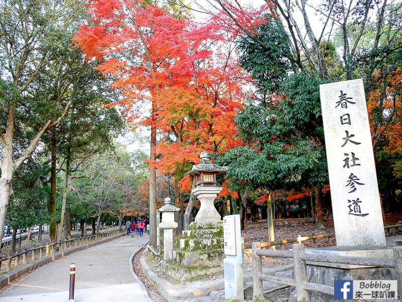 Kasuga-Taisha-Shrine-2