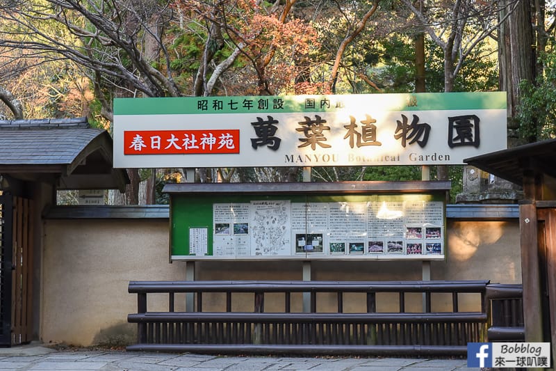 Kasuga-Taisha-Shrine-7