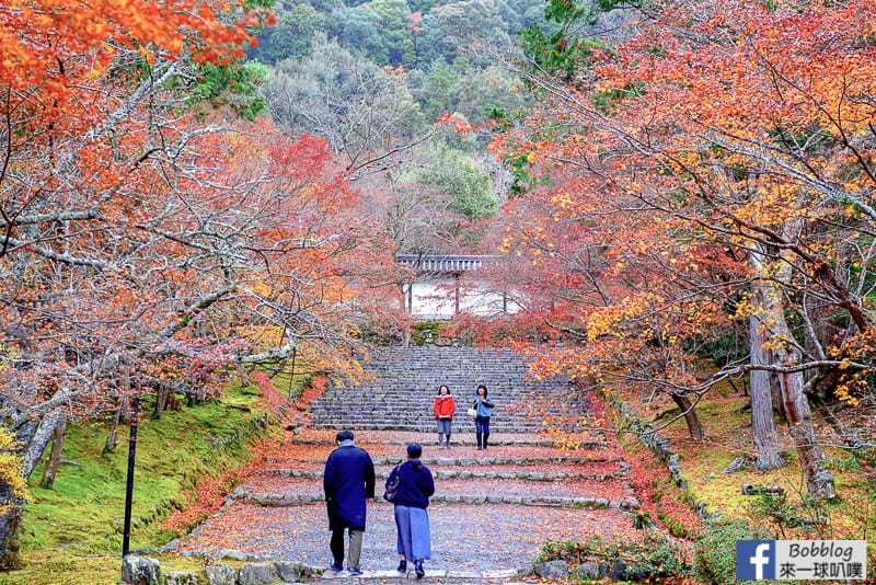 京都嵐山二尊院賞楓、紅葉馬場、200m楓葉大道