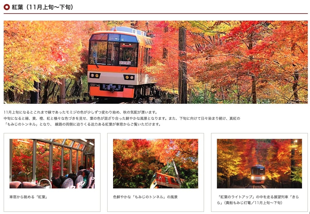 京都叡山電車紅葉隧道|賞楓時間、點燈、搭乘攻略 @來一球叭噗 京都叡山電車紅葉隧道|賞楓時間、點燈、搭乘攻略