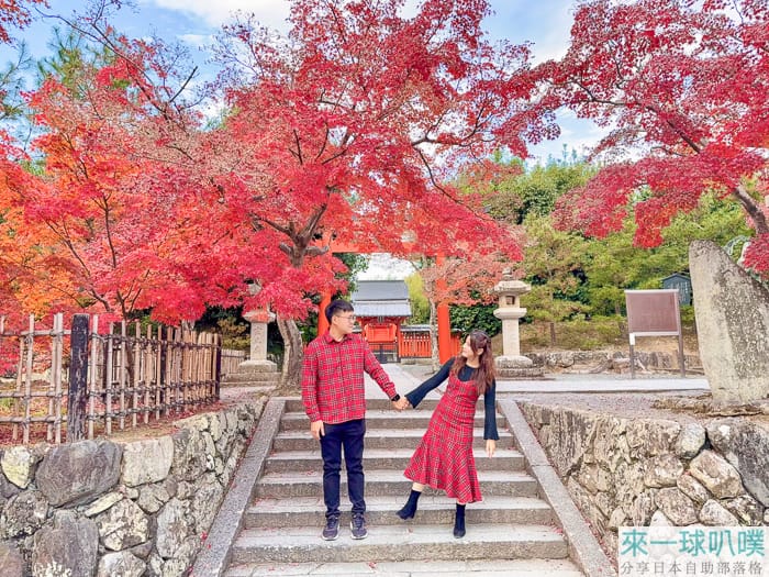 京都嵐山賞楓必去|天龍寺超美楓葉、交通、曹源池庭園美景