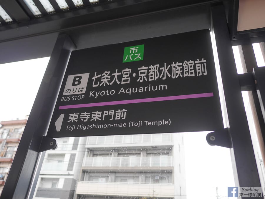 kyoto-aqurium-3