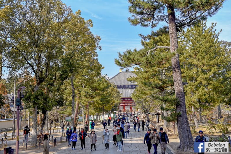 Todaiji-Temple-40