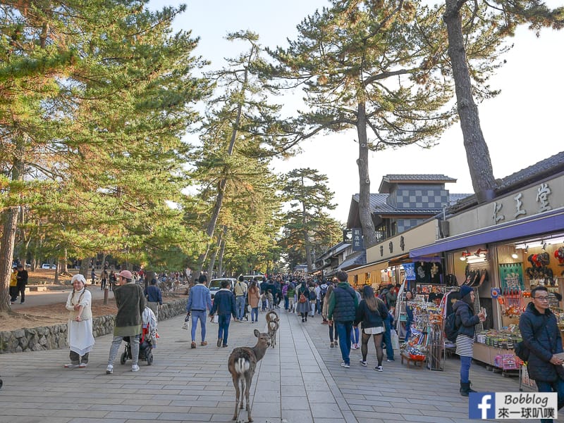 Todaiji-shopping-3