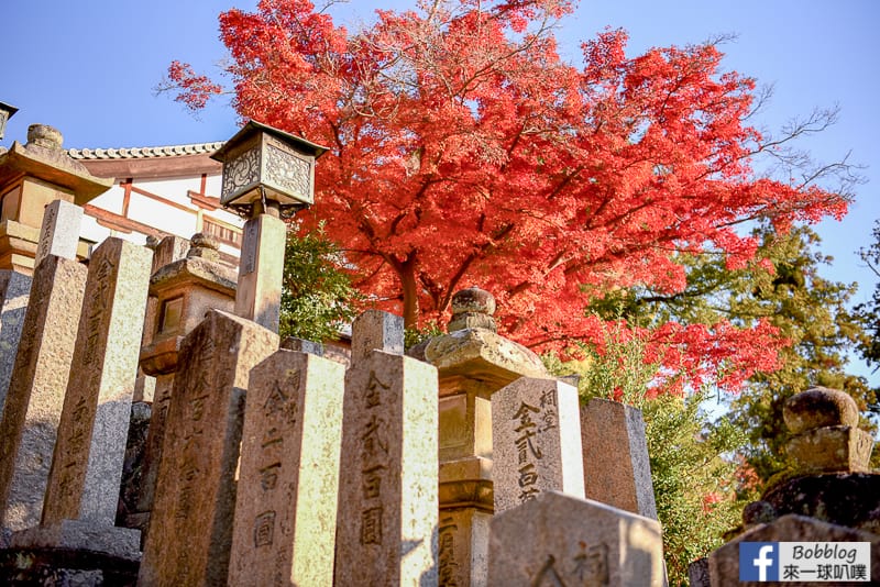 nara-Todaiji-Nigatsudo-16