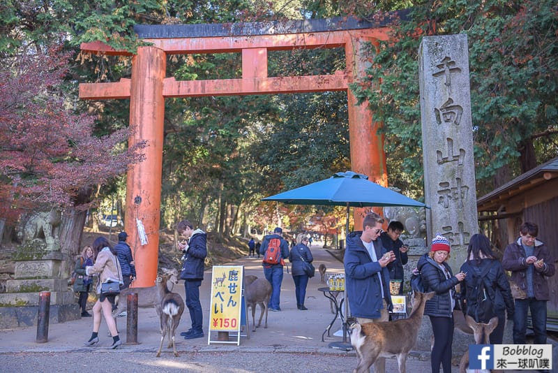 nara-Todaiji-Nigatsudo