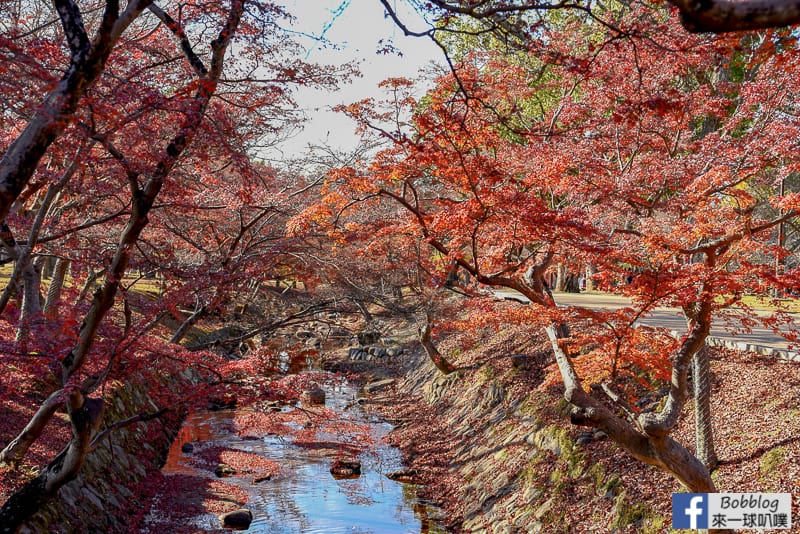 nara-park-21