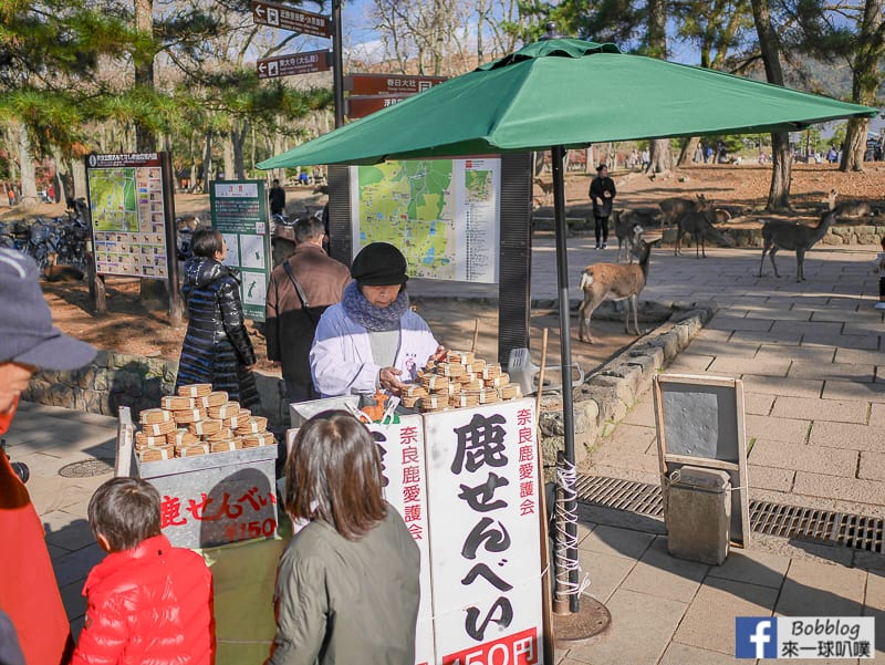 nara-park-39