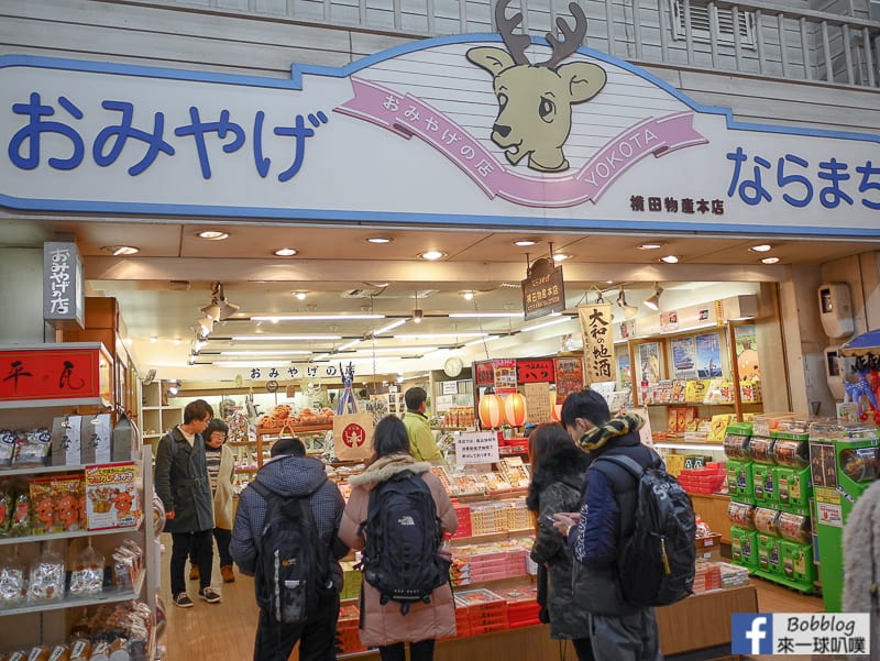 nara-shopping-street-7