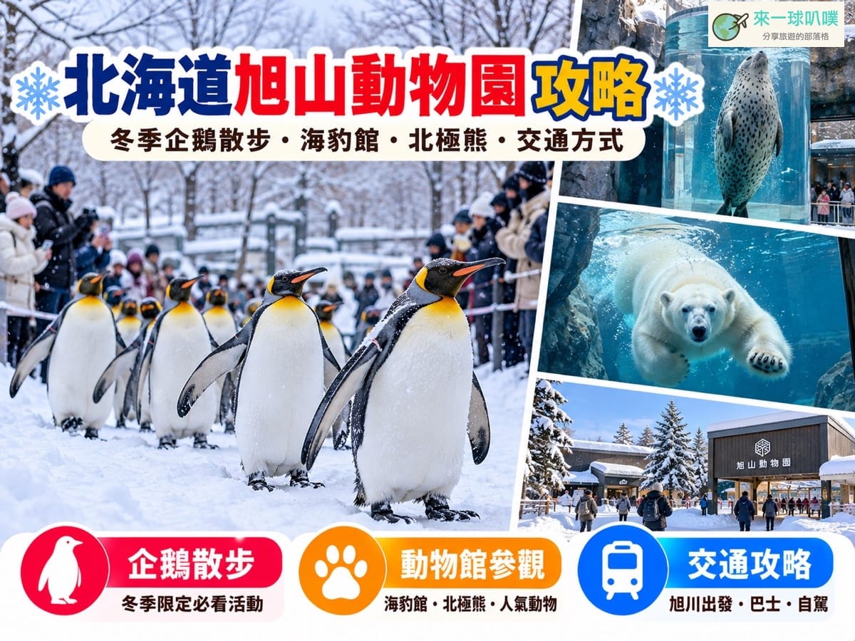 北海道旭山動物園攻略｜冬季企鵝散步時間、門票、交通與必看動物