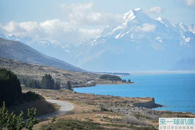 紐西蘭庫克山公路最美景點|彼得觀景台Tapataia Mahaka Peter Lookout
