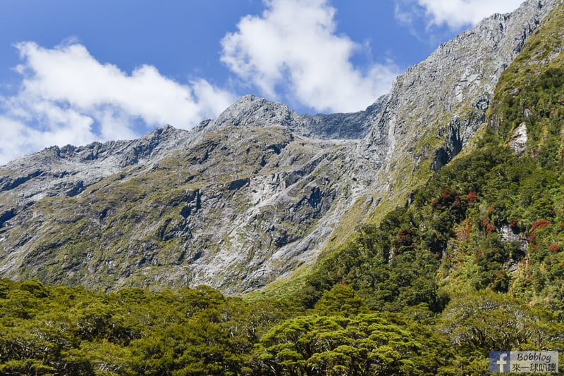 紐西蘭米佛峽灣公路必訪景點|Monkey Creek猴子溪、巧遇高山鸚鵡kea
