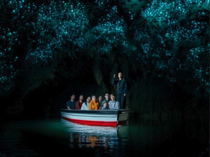 看紐西蘭螢火蟲地點比較|懷托摩螢火蟲洞、蒂阿瑙螢火蟲洞，哪個比較值得去？