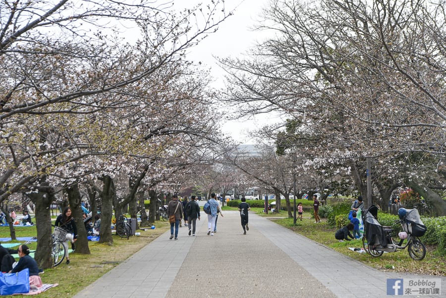 大阪城公園賞櫻|3000株櫻花賞櫻時間、櫻花品種、交通方式
