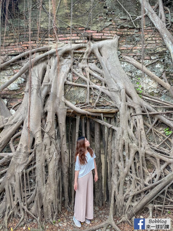 Anping-Tree-House-47