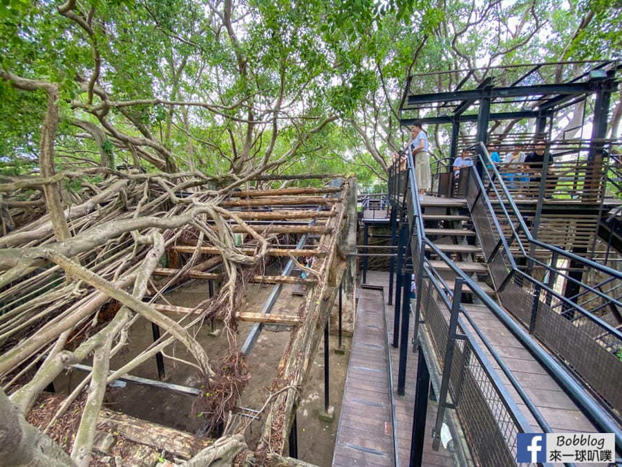 Anping-Tree-House-51