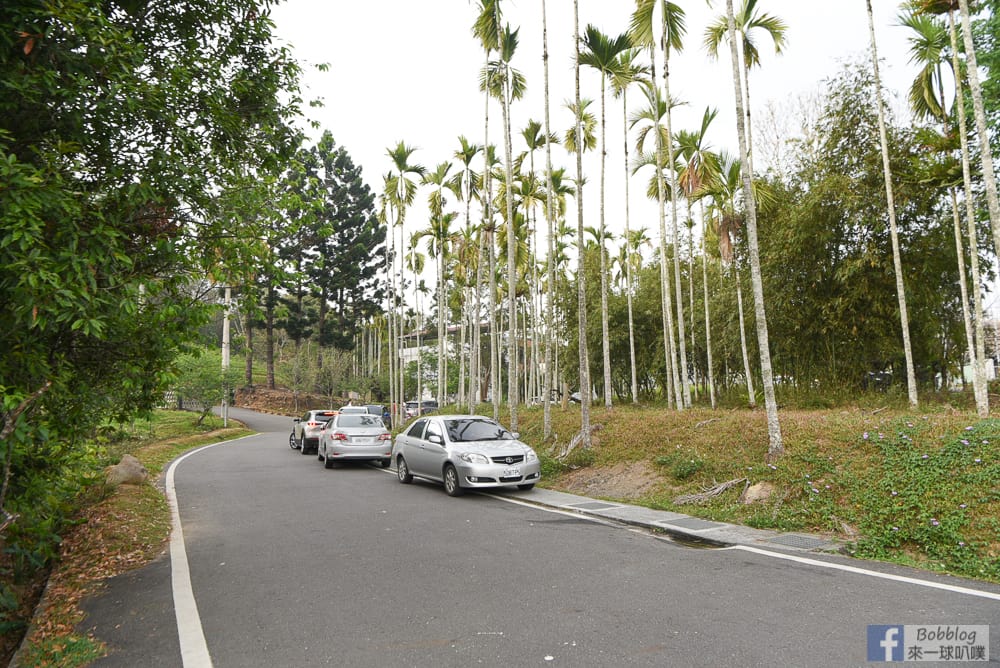 nantou-tea-garden-2