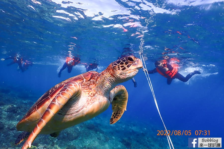 liuqiu-snorkeling-28